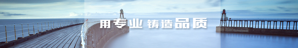 用专业铸就品质